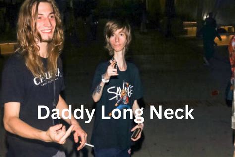 Daddy Long Neck Is Alive